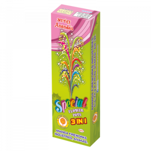 3 in 1 Flower Pots Super Special (10pcs)